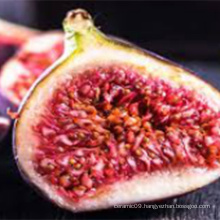 Newly harvested original fruit pure fig juice powder